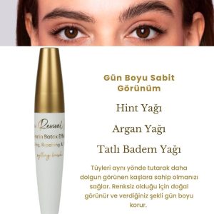 تثبیت کننده ابرو اورجینال برند Nutrazeyra cosmetics کد 819258800