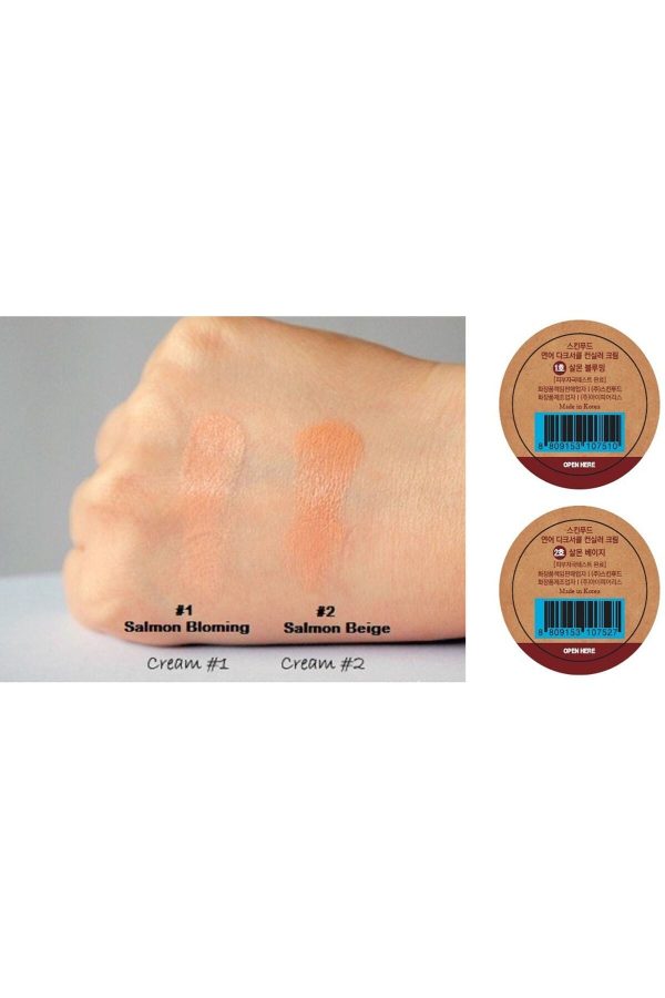 کانسیلر اورجینال برند Skinfood مدل Salmon Concealer Kapatıcı Krem کد 2951127 - Image 2
