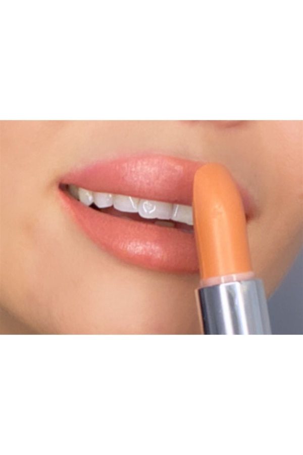 رژ لب اورجینال برند Pastel مدل Pastel Hafif Yapılı Nude Ruj کد 342488652 - Image 2