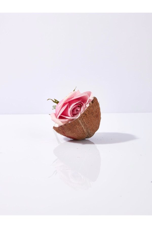 کرم جوان کننده اورجینال برند Pelcare مدل Firming Rose Tonic کد 72456752 - Image 4