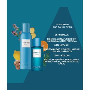 ادکلن اورجینال برند So fragrance کد 776166744