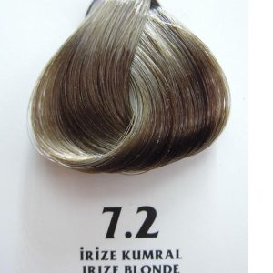 1 org zoom 113420