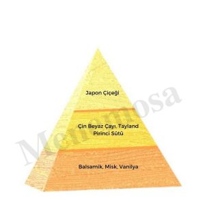 ادکلن اورجینال برند Bargello کد 288790053