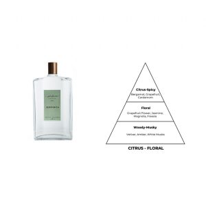 ادکلن اورجینال برند Perfume atelier کد 755043105