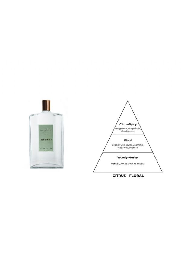 ادکلن اورجینال برند Perfume atelier کد 755043105 - Image 2