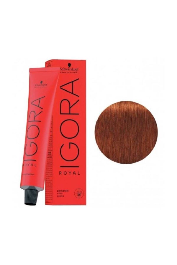 رنگ مو اورجینال برند Igora مدل Igora Royal Saç Boyası 6-77 کد 739655233