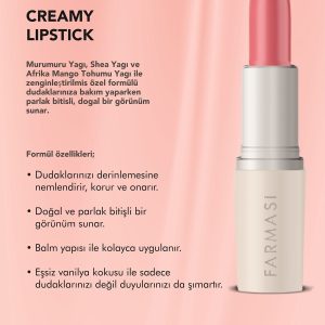 رژ لب اورجینال برند Farmasi مدل Creamy Lipstick 12 کد 786885027