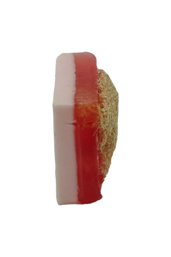 صابون جامد اورجینال برند Anatolia soap کد 751850086 - Image 4