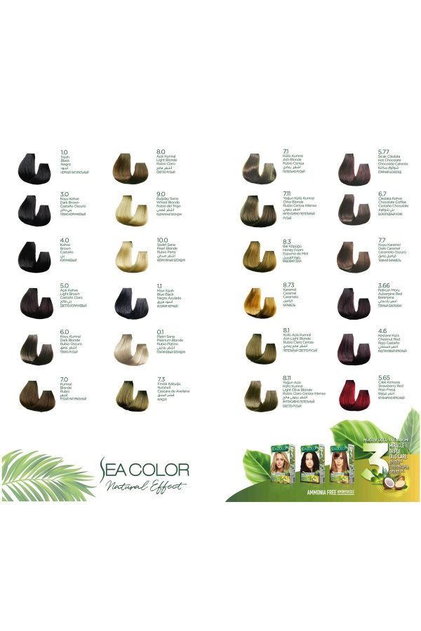 رنگ مو اورجینال برند Sea color کد 808317914 - Image 4