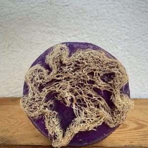 1 org zoom 54624