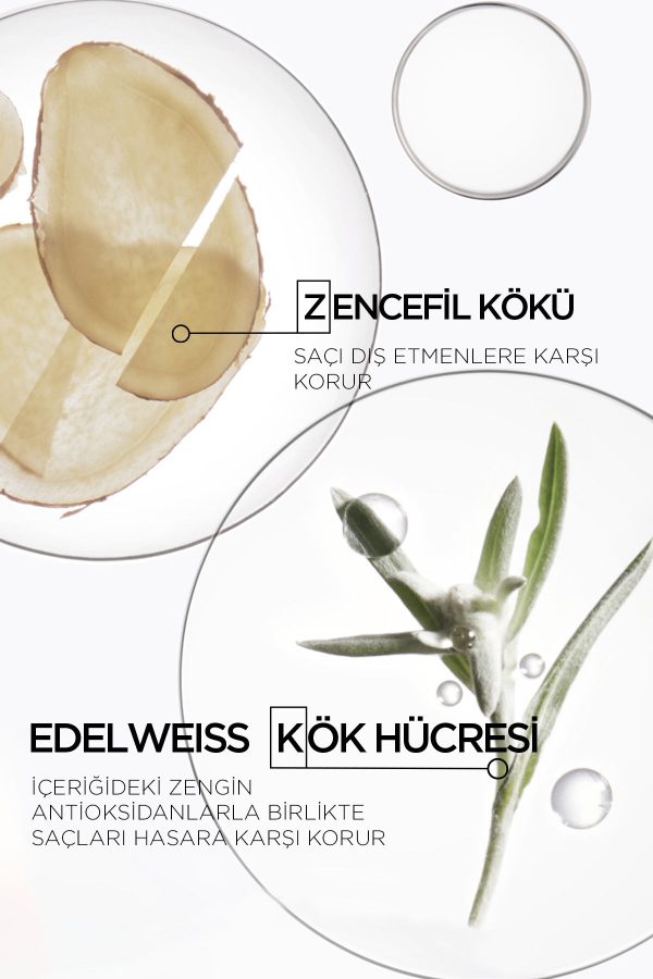 شامپو اورجینال برند Kerastase کد 37826836 - Image 3