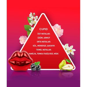 ادکلن اورجینال برند So fragrance کد 776828776