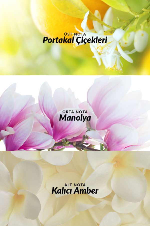 ادکلن اورجینال برند Avon کد 443765746 - Image 3