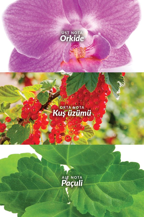 ادکلن اورجینال برند Avon کد 111614 - Image 3
