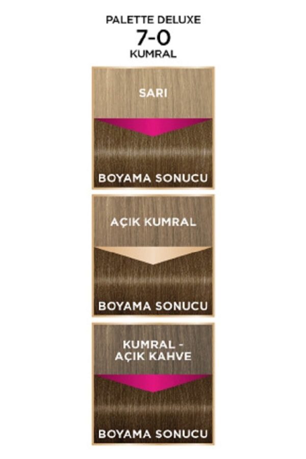رنگ مو اورجینال برند Palette کد 35137189 - Image 5