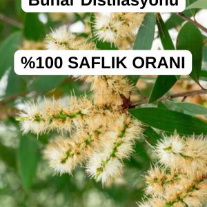 روغن مراقبت کننده اورجینال برند Antik sifa کد 329990895