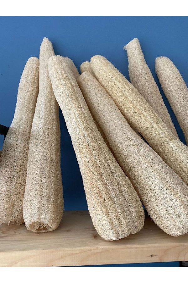 لیف و اسفنج حمام اورجینال برند Vianour مدل Natural Luffa Sponge کد 666207297 - Image 2