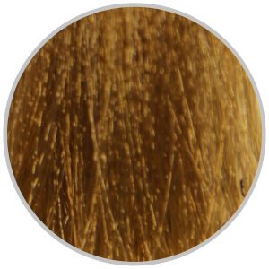 1 org zoom 75916