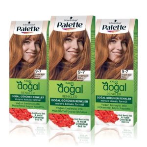 رنگ مو اورجینال برند Palette کد 242613601