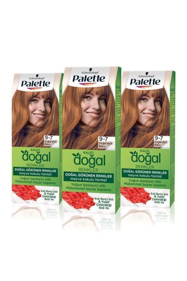 رنگ مو اورجینال برند Palette کد 242613601 - Image 2