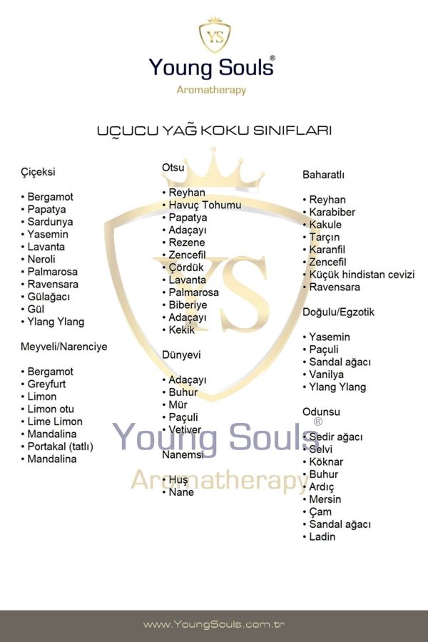 روغن مراقبت کننده اورجینال برند Young souls کد 58861761 - Image 8
