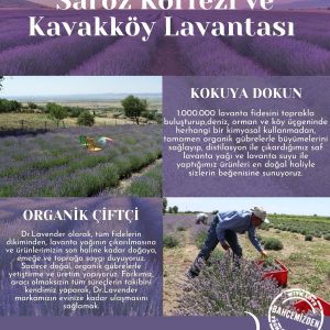 روغن مراقبت کننده اورجینال برند Dr lavender کد 832845246