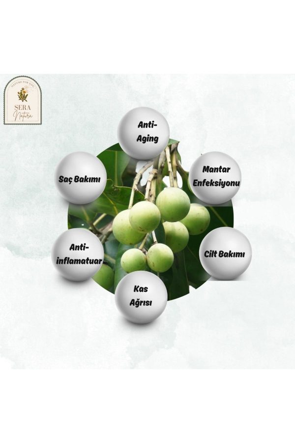 روغن مراقبت کننده اورجینال برند Sera natura کد 821961392 - Image 4