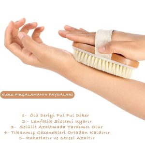 برس سلولیت اورجینال برند Noyiska کد 355631316
