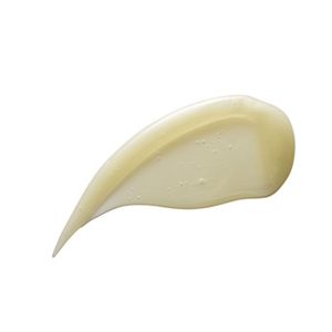 شامپو اورجینال برند Aveda کد 52820321