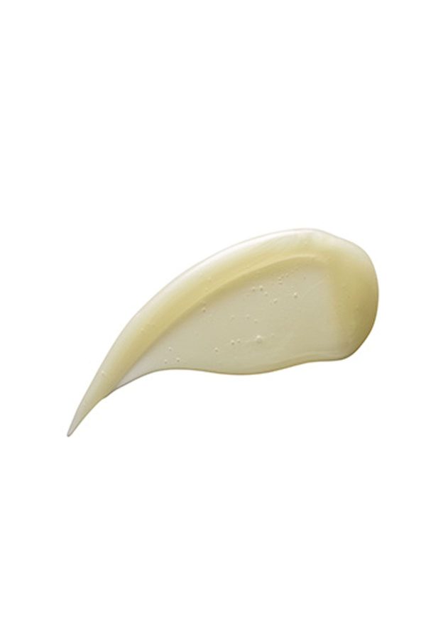 شامپو اورجینال برند Aveda کد 52820321 - Image 2