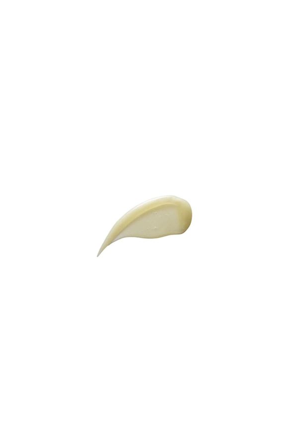 شامپو اورجینال برند Aveda کد 369727808 - Image 2