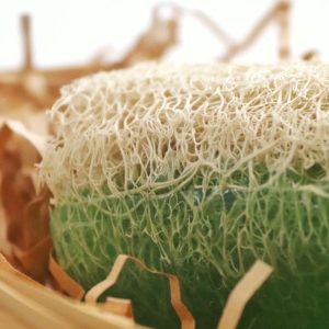 صابون جامد اورجینال برند Shiss مدل Natural loofah and argan soap کد 475676307