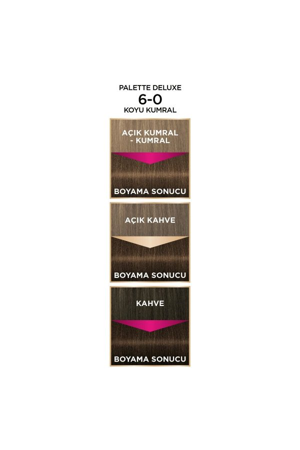 رنگ مو اورجینال برند Palette کد 363489026 - Image 3