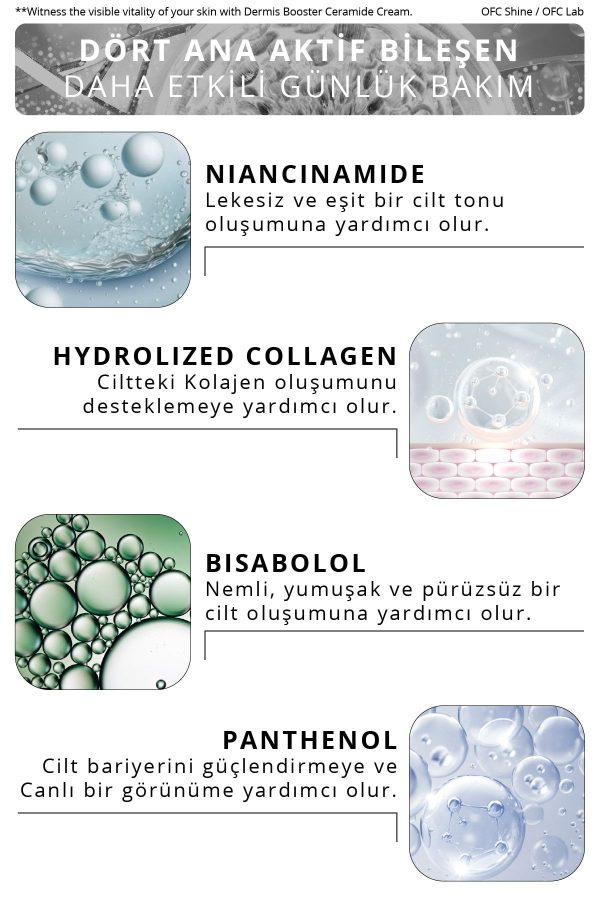 کرم صورت اورجینال برند Ofc shine مدل Dermis Booster Ceramide Cream کد 745167166 - Image 3