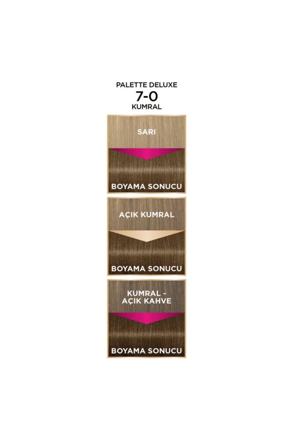 رنگ مو اورجینال برند Palette کد 220339395 - Image 3