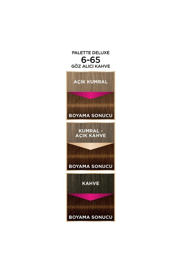 رنگ مو اورجینال برند Palette کد 221034298 - Image 3