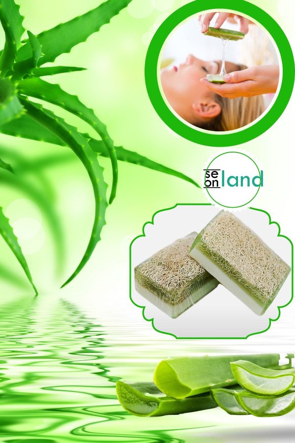 صابون جامد اورجینال برند Seonland کد 354621185 - Image 5