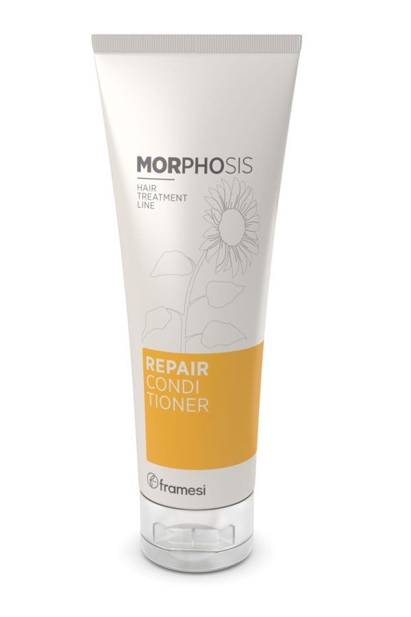 کرم مو اورجینال برند Framesi morphosis مدل Repair Hair Cream کد 68220557