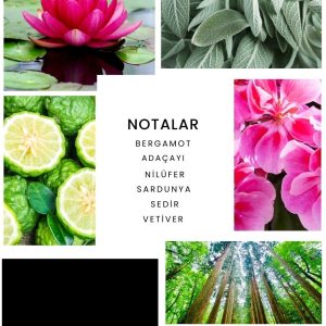 ادکلن اورجینال برند Ixora مدل E011 Summer Man کد 102792716