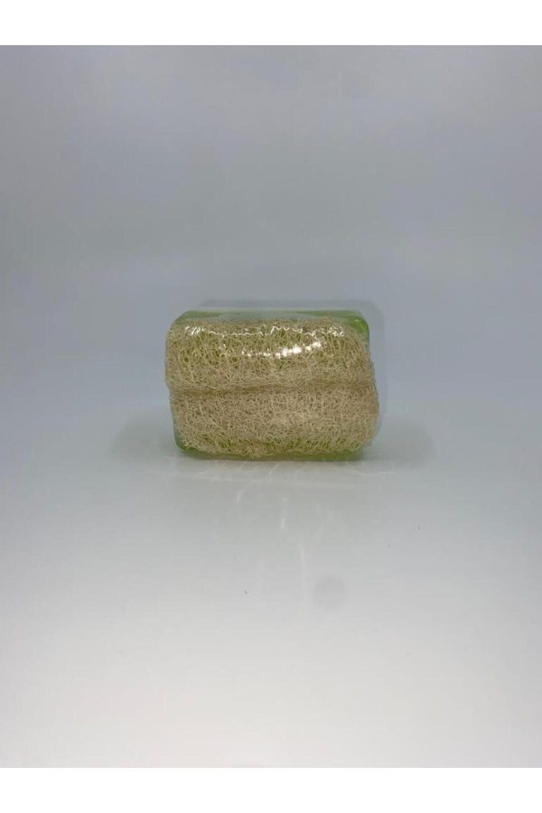 صابون جامد اورجینال برند Naturlife مدل Aloe Vera and Loofah Soap کد 831185920