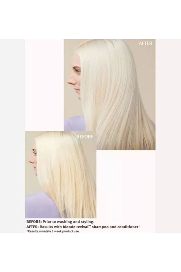 شامپو اورجینال برند Aveda مدل Blonde Revival Purple Toning Shampoo کد 763276307 - Image 4