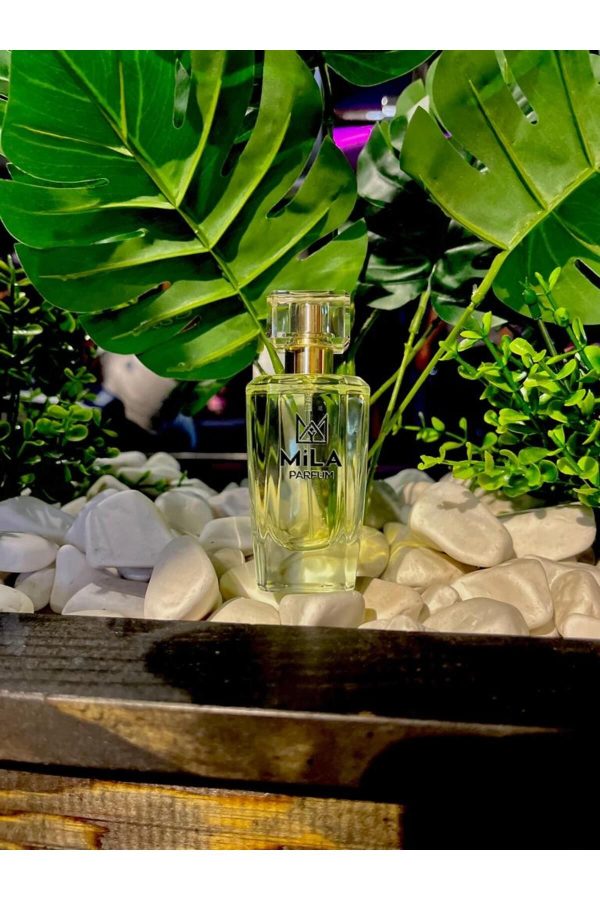 ادکلن اورجینال برند Mila parfum مدل K31 Edp 50 ml کد 751885130 - Image 5