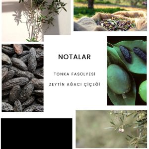 ادکلن اورجینال برند Ixora مدل E163x2 کد 772248750