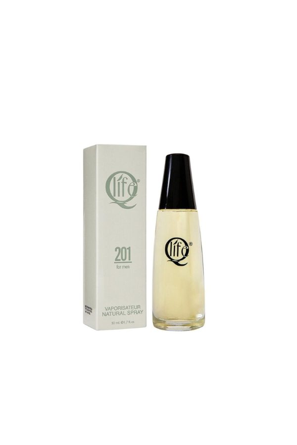 ادکلن اورجینال برند Q life مدل Acqua Di Gio Armani کد 794143070
