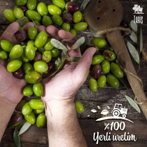 صابون جامد اورجینال برند Taris مدل Olive Oil Soap 175 grams کد 58096959
