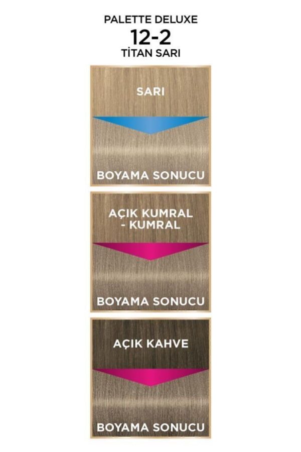 رنگ مو اورجینال برند Palette مدل Palette Deluxe 12-2 Titan کد 4405554 - Image 5