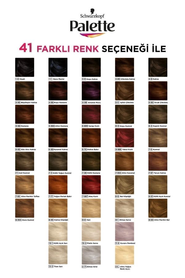 رنگ مو اورجینال برند Palette مدل Palette Deluxe 12-2 Titan کد 4405554 - Image 8