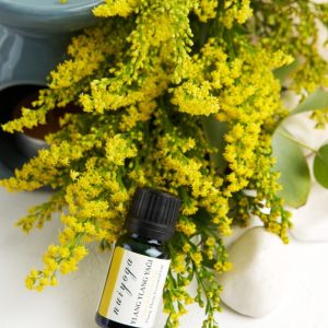 روغن مراقبت کننده اورجینال برند Nui yoga کد 221763255