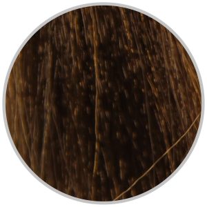1 org zoom 131411