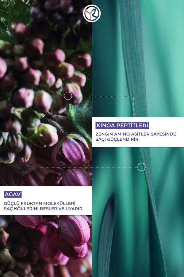 کرم مو اورجینال برند Yves rocher کد 686302605 - Image 3